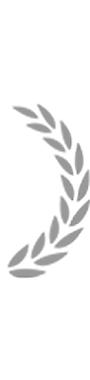 wendingh5